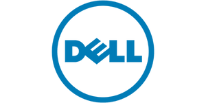 DELL - Sim Racing - Brand logos 300x150