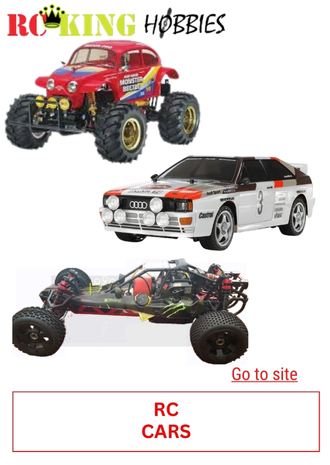 19.ROCKING HOBBIES - RC CARS