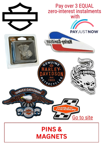 80. HARLEY DAVIDSON - PINS & MAGNETS